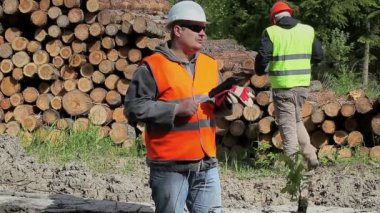 Orman memurları günlükleri yığını yakınındaki ormanda