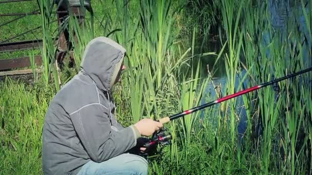 Pescador cerca del lago en verano — Vídeo de stock