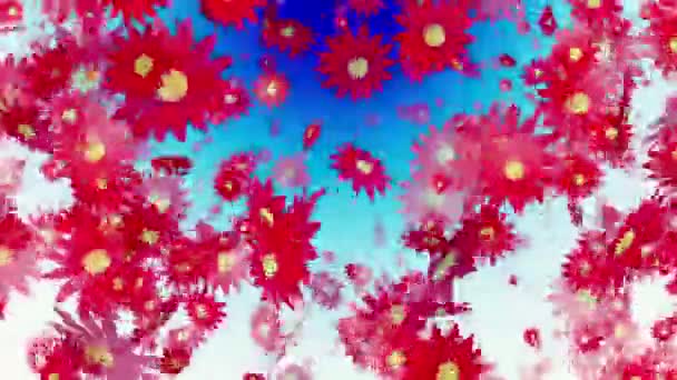 Fleurs rouges volantes sur bleu — Video