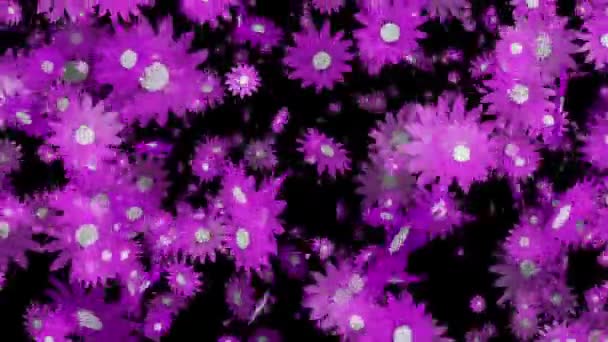 Fleurs violettes volantes sur noir 