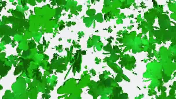 Clover in green on white — Stock Video