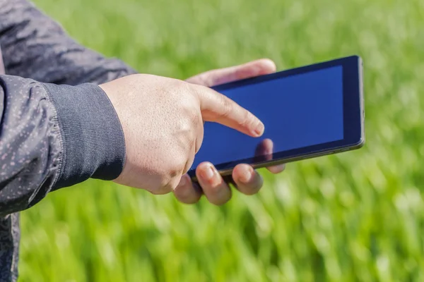 Mano con tableta PC en el campo de cereales —  Fotos de Stock