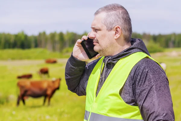 Agricultor hablando por teléfono celular cerca de vacas en pastos — Foto de Stock