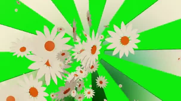 Fleurs blanches de vol sur sunburst