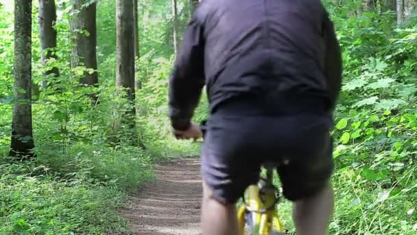 Mann mit Fahrrad im Park — Stockvideo