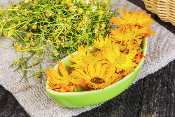 Flores de caléndula en tazón con manzanilla seca en el fondo —  Fotos de Stock