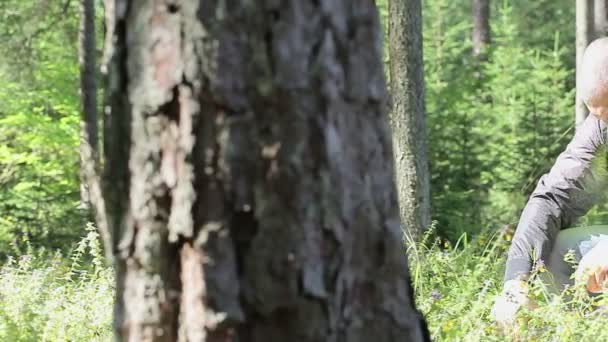 Trabalhador florestal na floresta — Vídeo de Stock