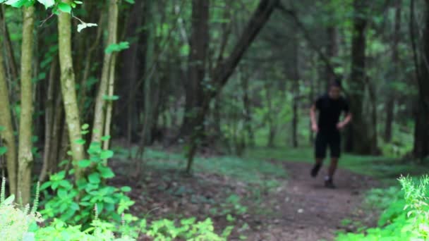 在公园跑步的少年 — 图库视频影像