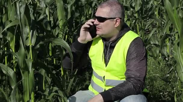 Boer praten over smartphone in de buurt van maïsveld — Stockvideo