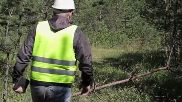 Forstbeamter spaziert im Wald — Stockvideo