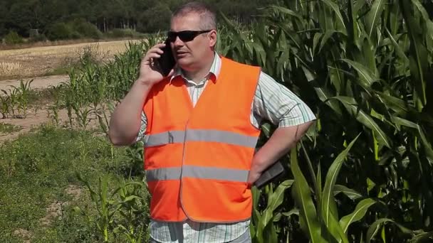 Фермер со смартфоном рядом с кукурузным полем — стоковое видео