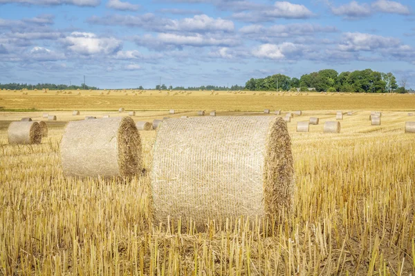 Gouden hooibalen op veld in de zomer — Stockfoto