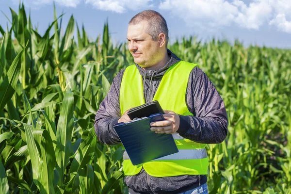 Boer de maïsveld controleren — Stockfoto