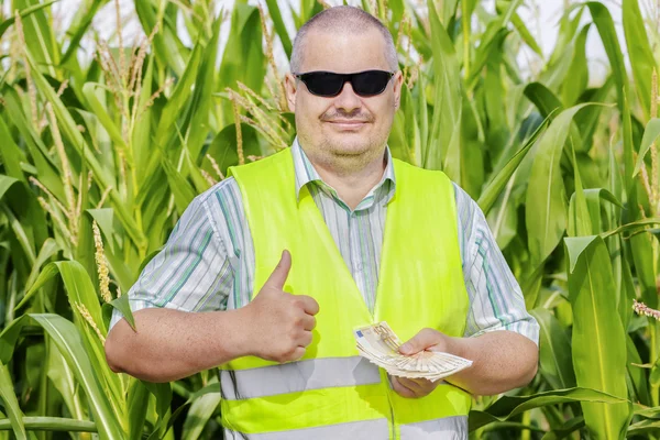 Farmer with money showing thumb up on corn field — Stock Photo, Image