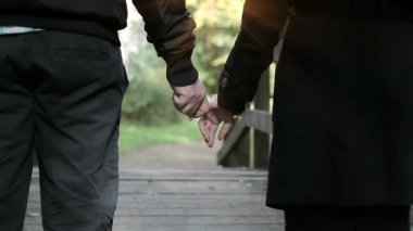 Çift ellerini birlikte parkta tutar