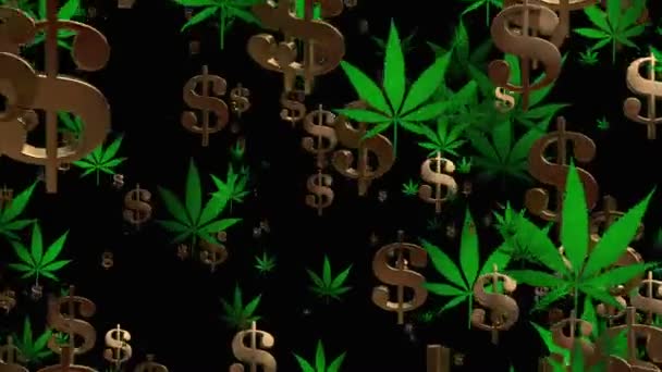 Fliegende US-Dollarschilder und Cannabisblätter in grün auf schwarz — Stockvideo