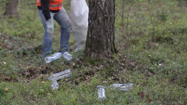 Man with bag picking up used plastic bottles in forest — Stock Video