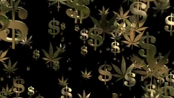 Летающие знаки доллара США и листья конопли в золоте на черном — стоковое видео