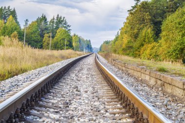 Ormandan geçen demiryolu.