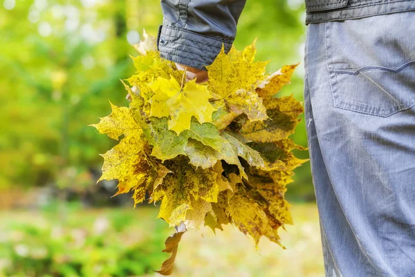 Man holding autumn leaves in the park — Stock Photo, Image