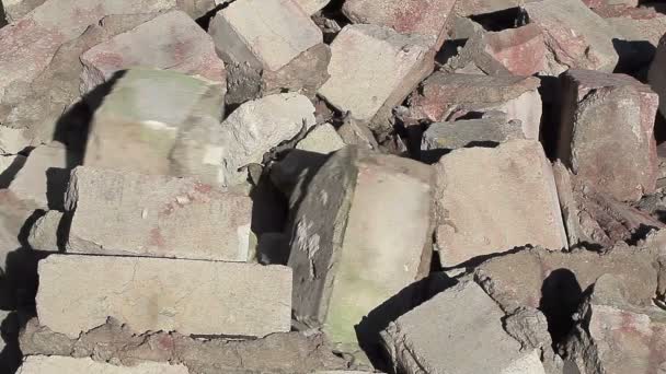 Worker throws bricks on pile — Stock Video