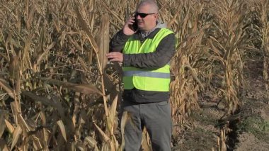 Soğuk Mısır alan Smartphone'da konuşurken çiftçi