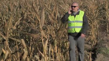 Soğuk Mısır alan smartphone ile meşgul çiftçi