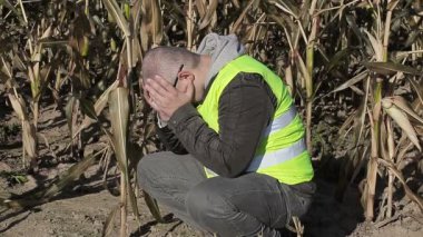 Soğuk Mısır sahada depresif çiftçi