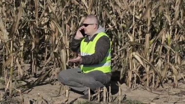 Sonbahar soğuk Mısır tarlasında smartphone ile kızgın çiftçi