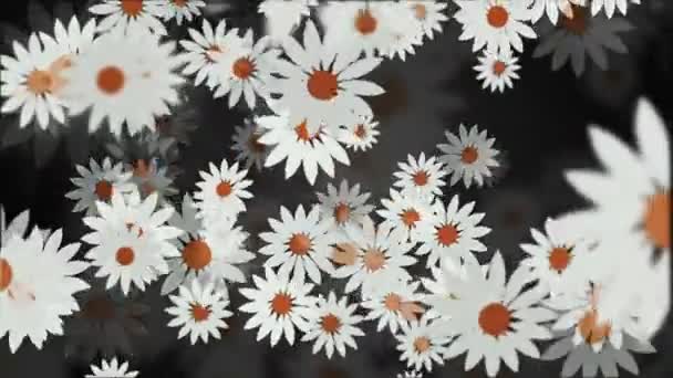 Abstrakter Hintergrund mit rotierenden Blüten in weiß — Stockvideo