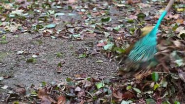 Alt komisyon parkta kullanarak