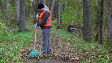 Alt toplamak yaprakları Park yolunda