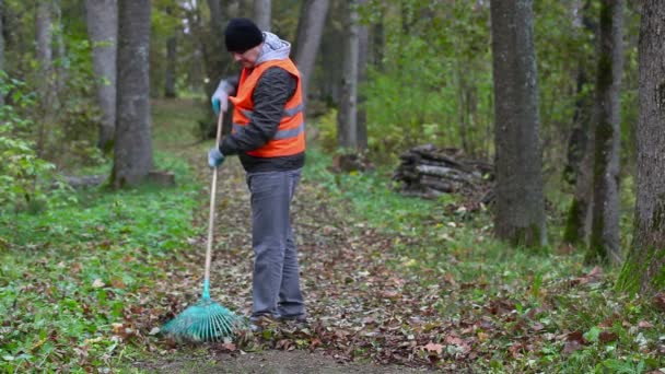 Рабочий собирает листья в парке на тропе — стоковое видео