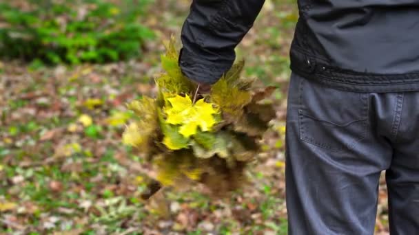 Hombre sosteniendo hojas de otoño en el parque — Vídeos de Stock