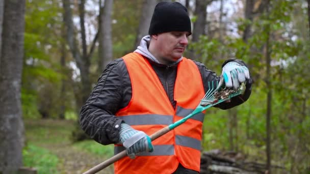 Adam temiz komisyon parkta yapraklarından — Stok video
