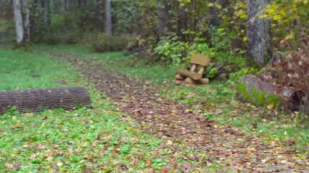 Hombre con rastrillo recoger hojas en el parque — Vídeos de Stock