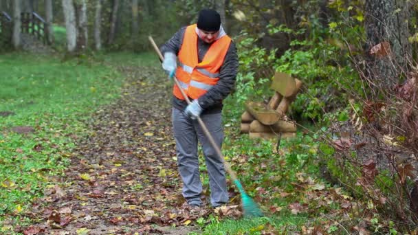 Tired man with the rake as watching leaves fall in the park — Stock Video