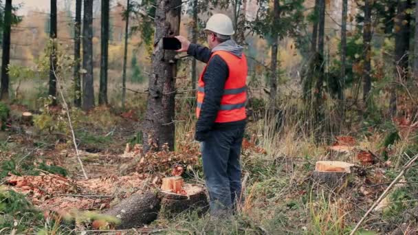 Inspecteur forestier avec tablette PC filmé forêt détruite 