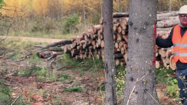 Skogen inspektör talar på smartphone i skogen — Stockvideo