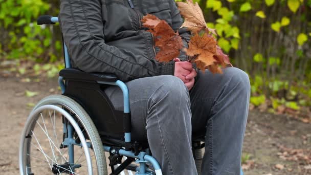 Hombre discapacitado con hojas de otoño en silla de ruedas al aire libre — Vídeos de Stock