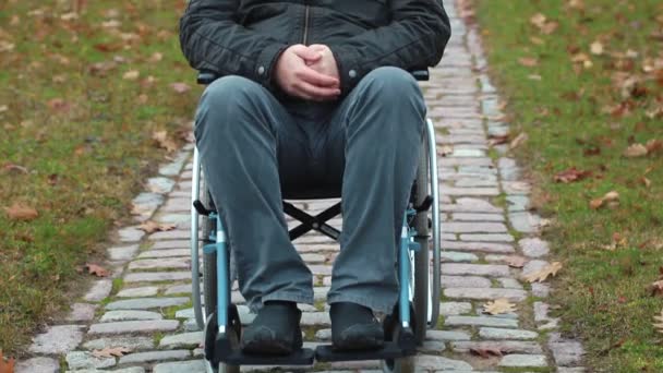 Behinderter Veteran im Rollstuhl im Herbst auf Friedhof — Stockvideo