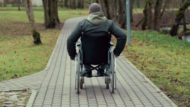 Behinderter im Rollstuhl auf Gehweg im Park — Stockvideo