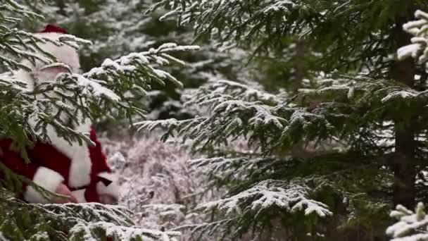 Père Noël dans les bois 