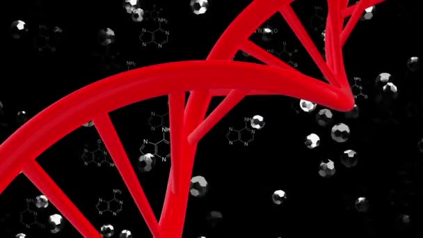 Hélice de DNA em vermelho em preto — Vídeo de Stock