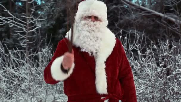 Weihnachtsmann-Klausel mit Birke — Stockvideo
