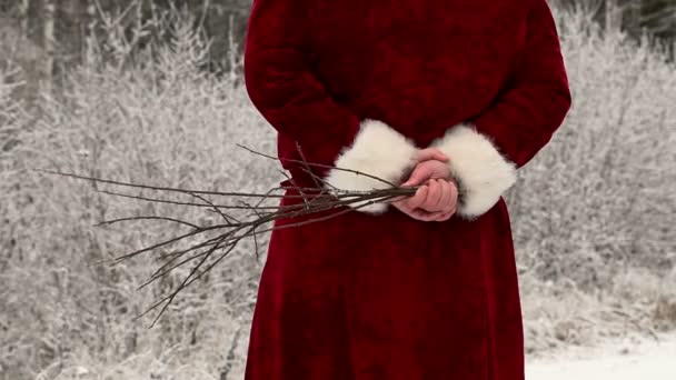 Babbo Natale con betulla sulla strada nel bosco — Video Stock