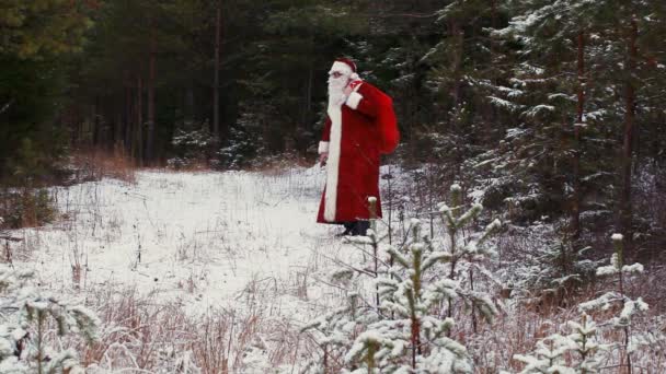 Szczęśliwy Mikołaja po pokrytych śniegiem lasach — Wideo stockowe