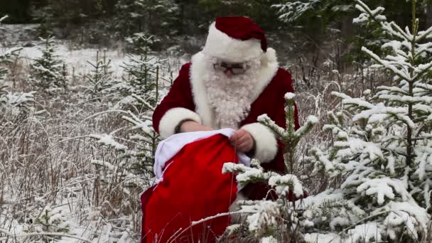 Weihnachtsmann mit Geschenkbox und Geschenktüte im verschneiten Wald — Stockvideo