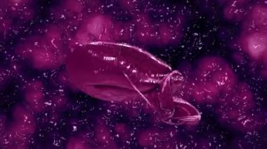 Mor soyut hareketli parça