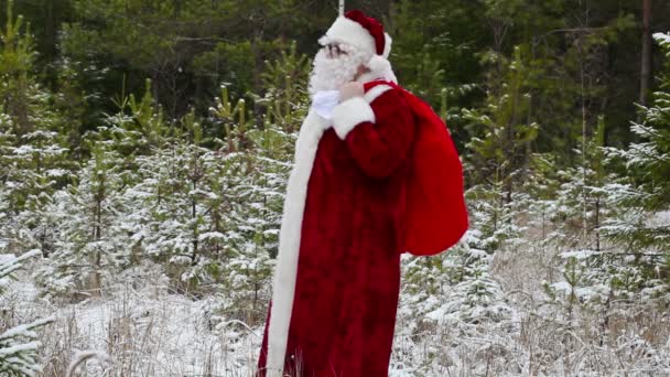 Santa Claus con bolsa de regalo en el bosque — Vídeo de stock